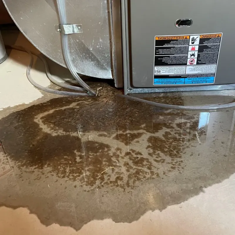 Pipe Burst and Leak Restoration in Fairborn, OH