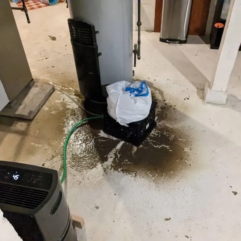 Sewage Backup Cleanup Service in Fairborn, OH